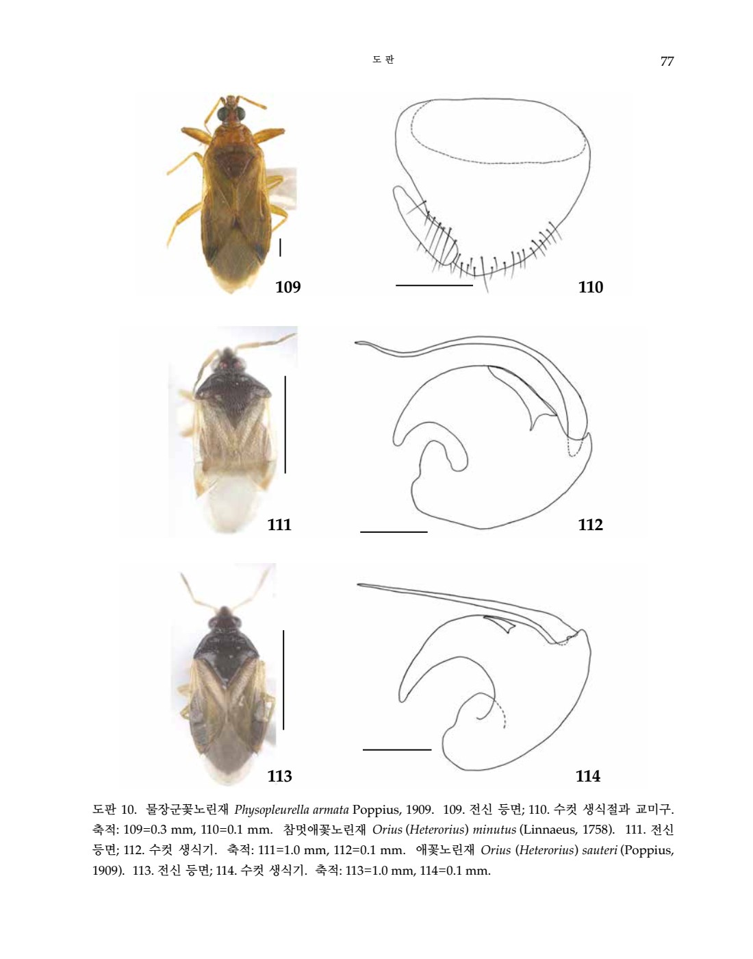 페이지