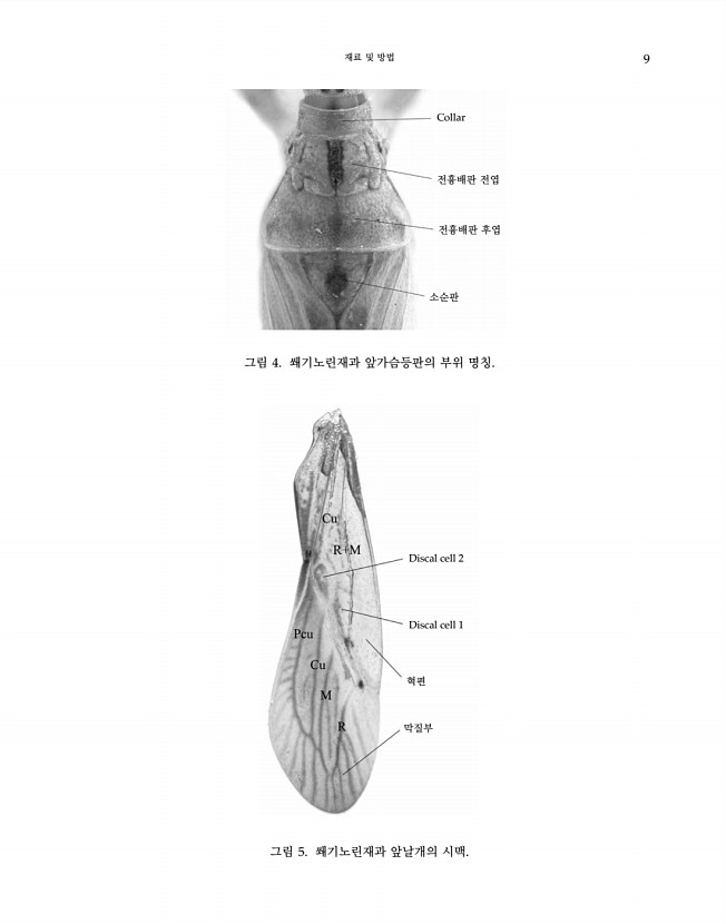 9페이지