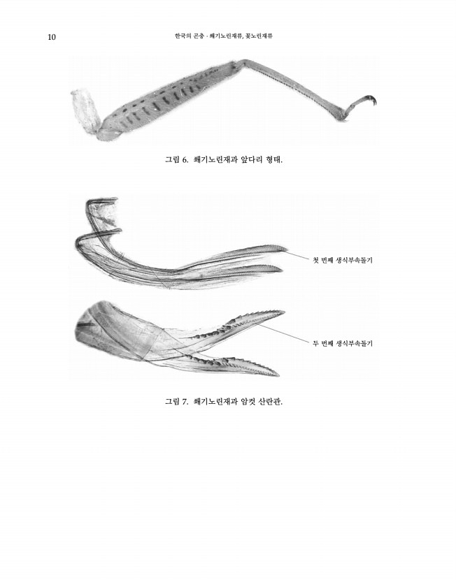 10페이지