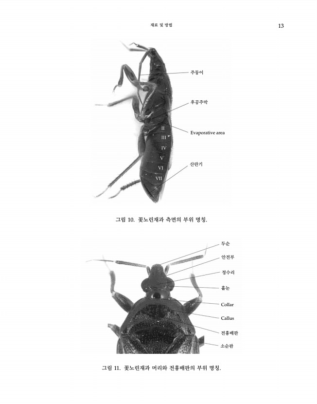 13페이지