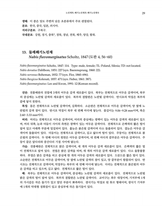 29페이지