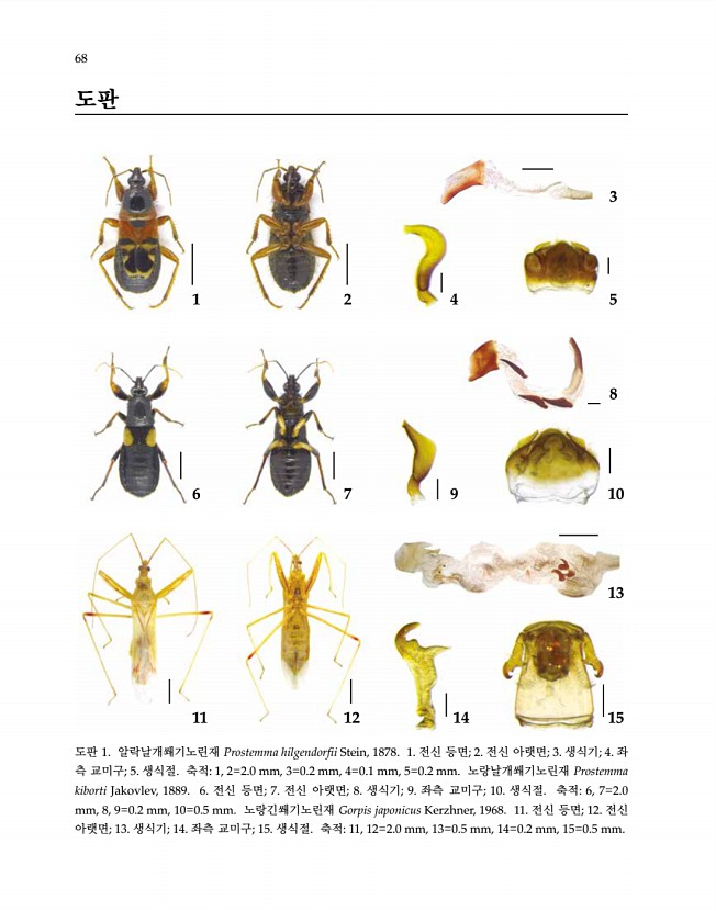 68페이지