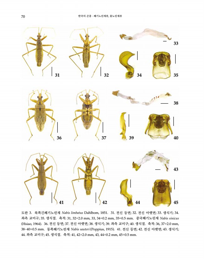 70페이지