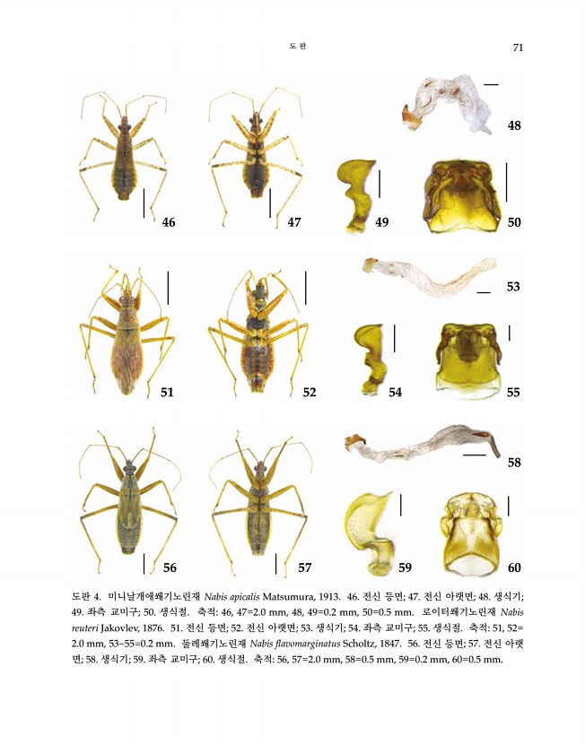 71페이지