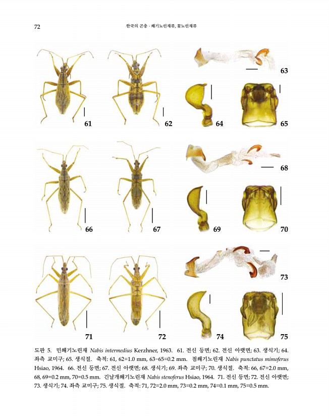 72페이지