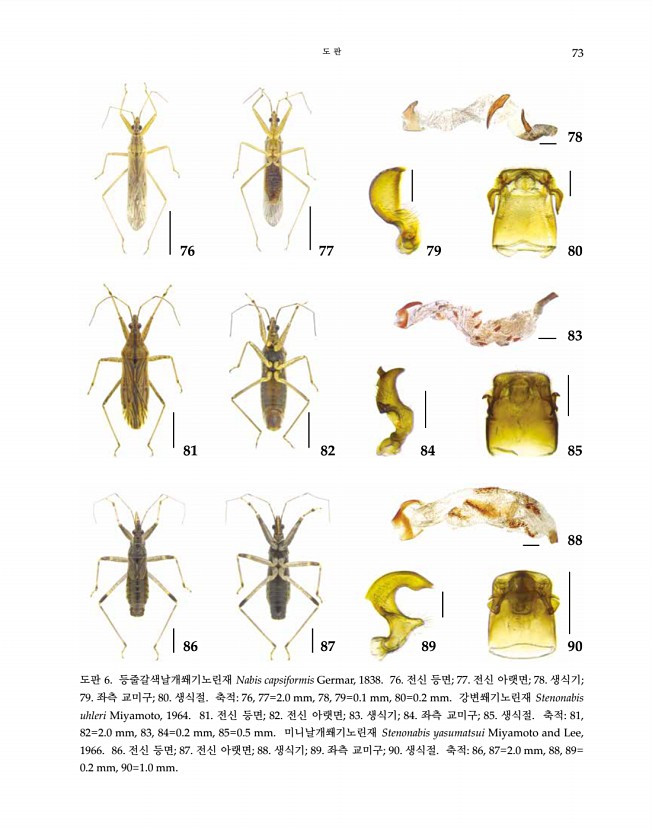 73페이지