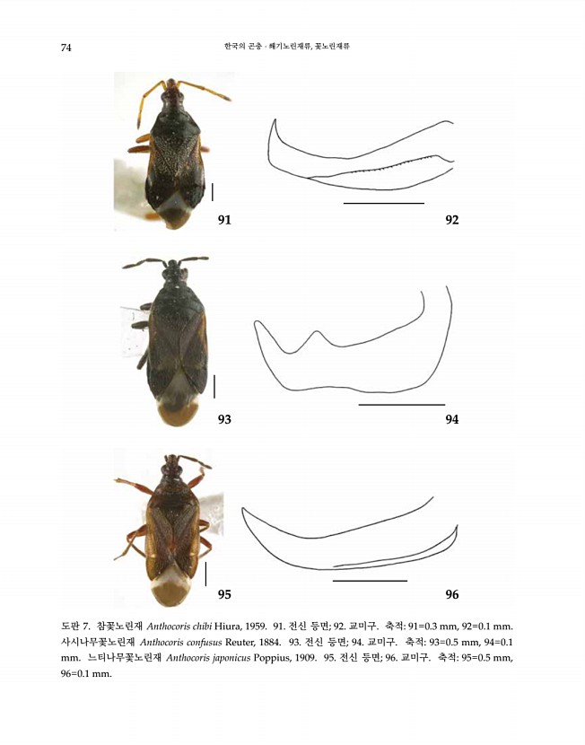 74페이지