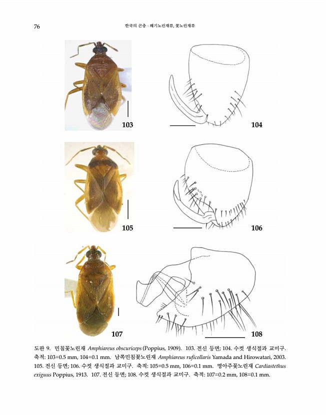 76페이지