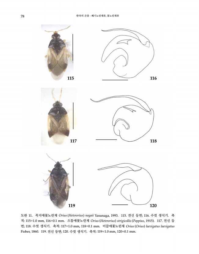 78페이지