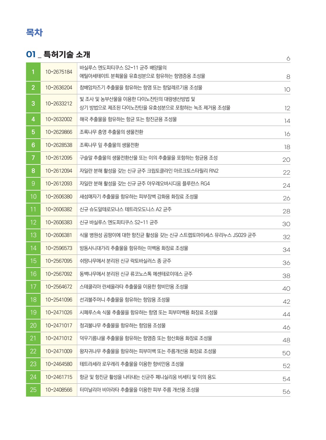 페이지