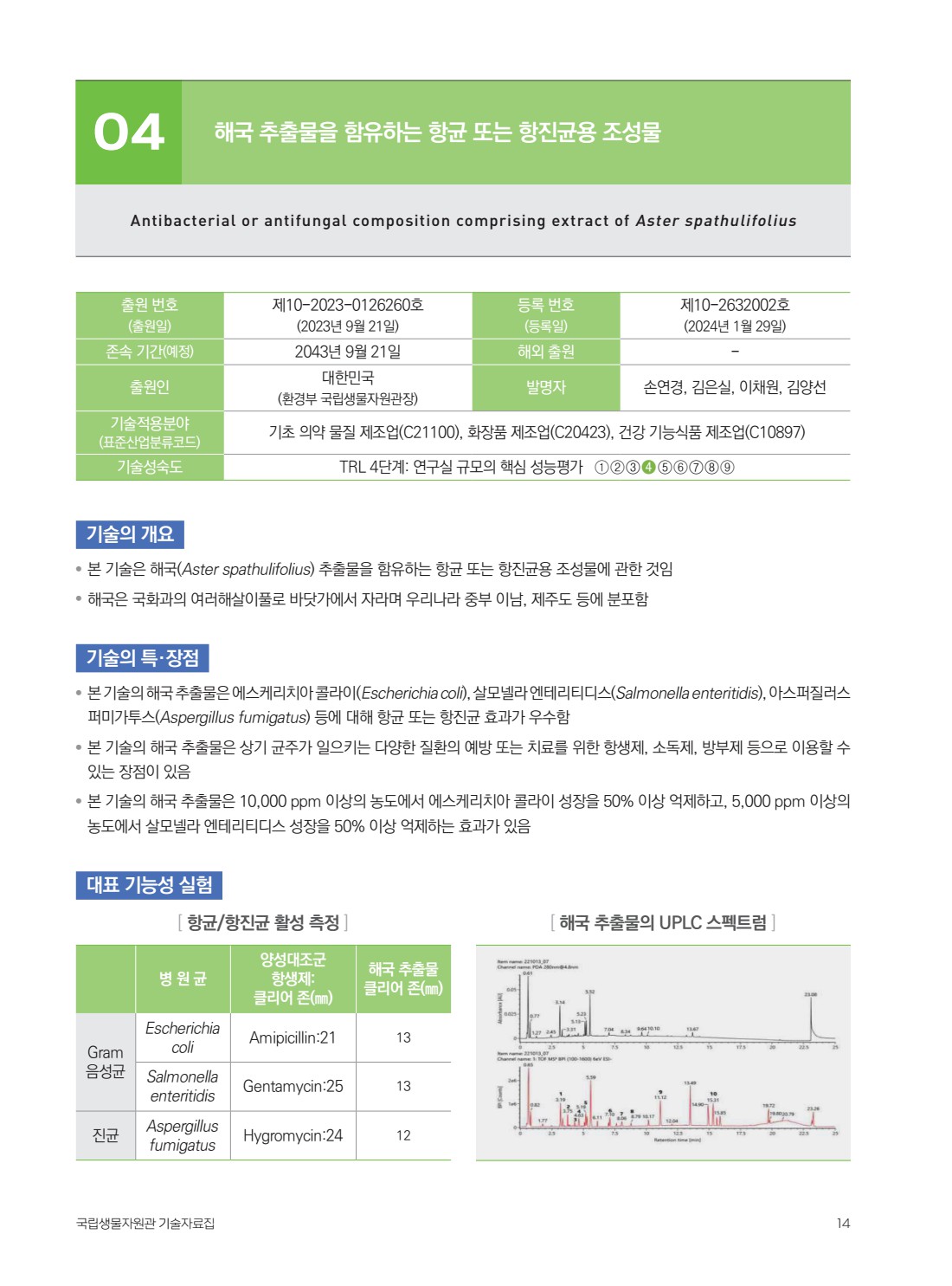 페이지
