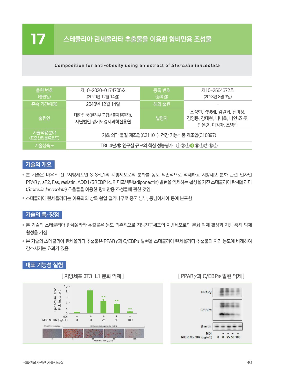 페이지