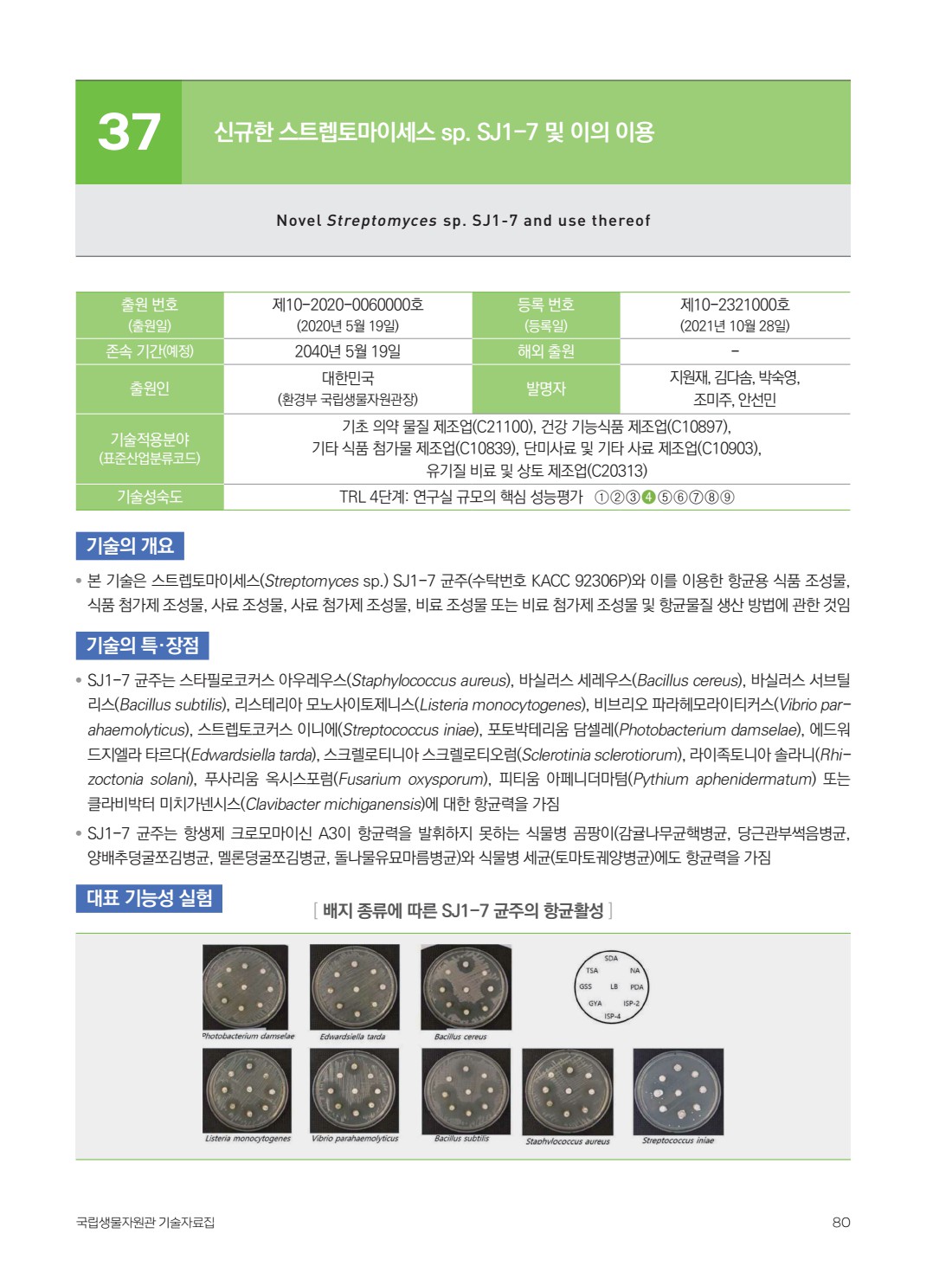 페이지