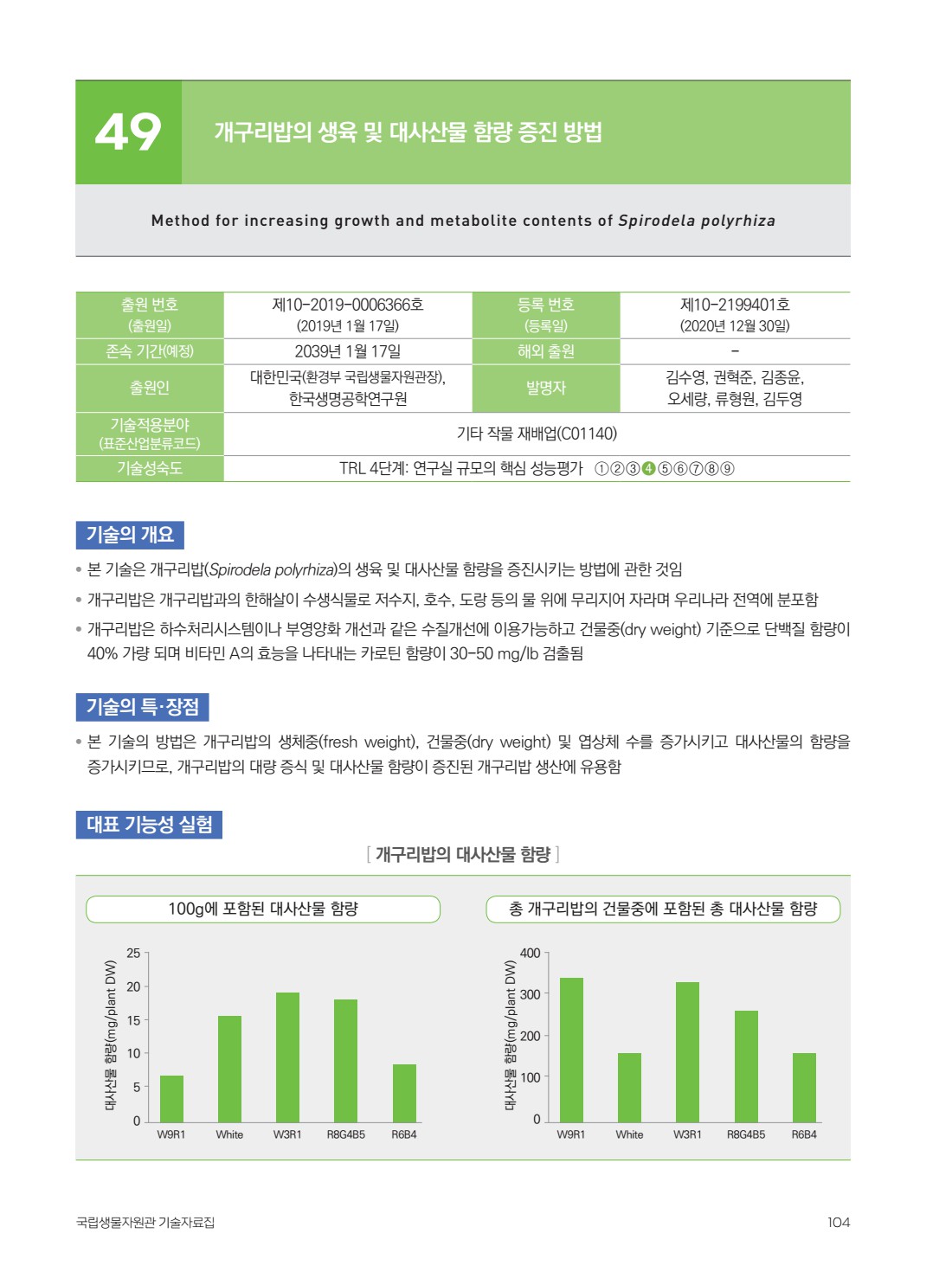페이지
