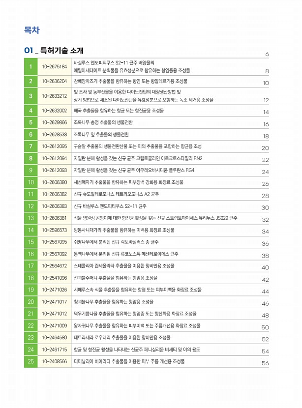 페이지