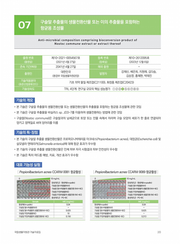 페이지