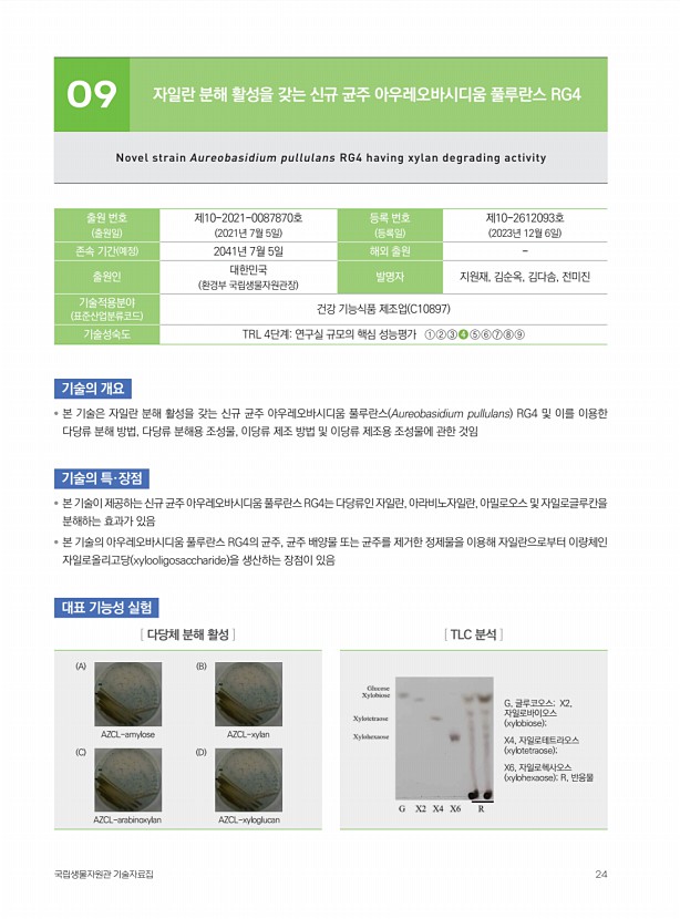 3페이지