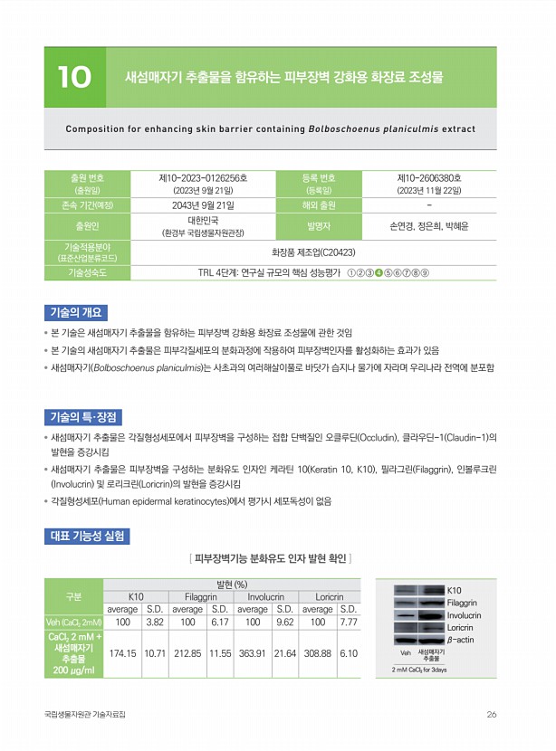 5페이지