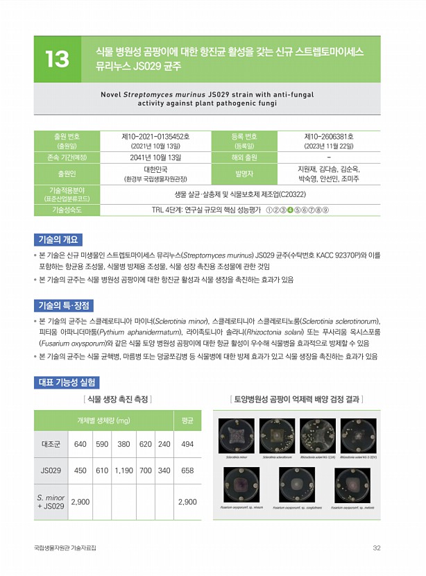 31페이지