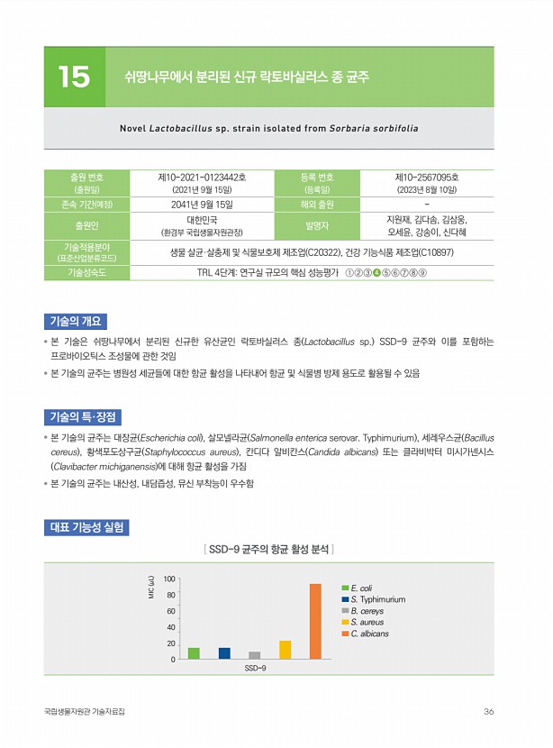 35페이지
