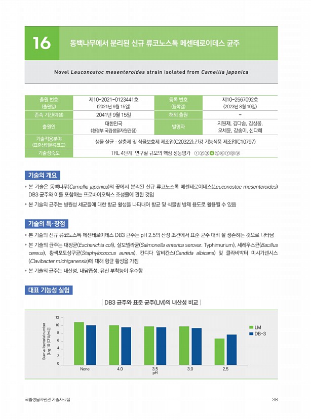 37페이지
