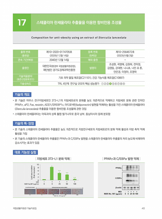 39페이지