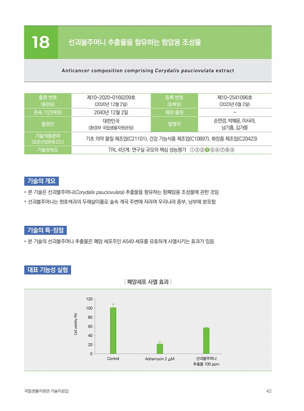 41페이지