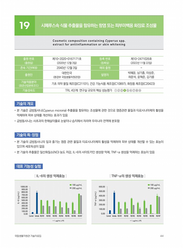 43페이지