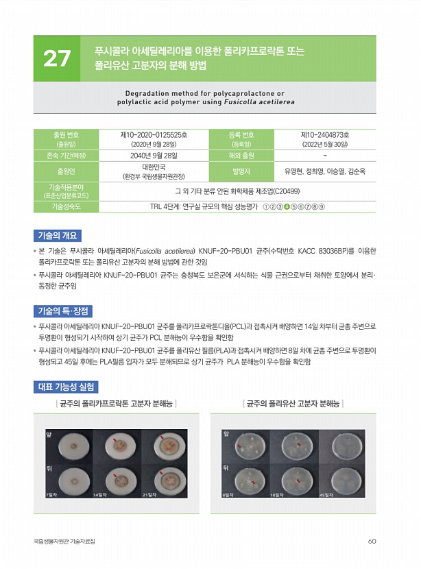 55페이지