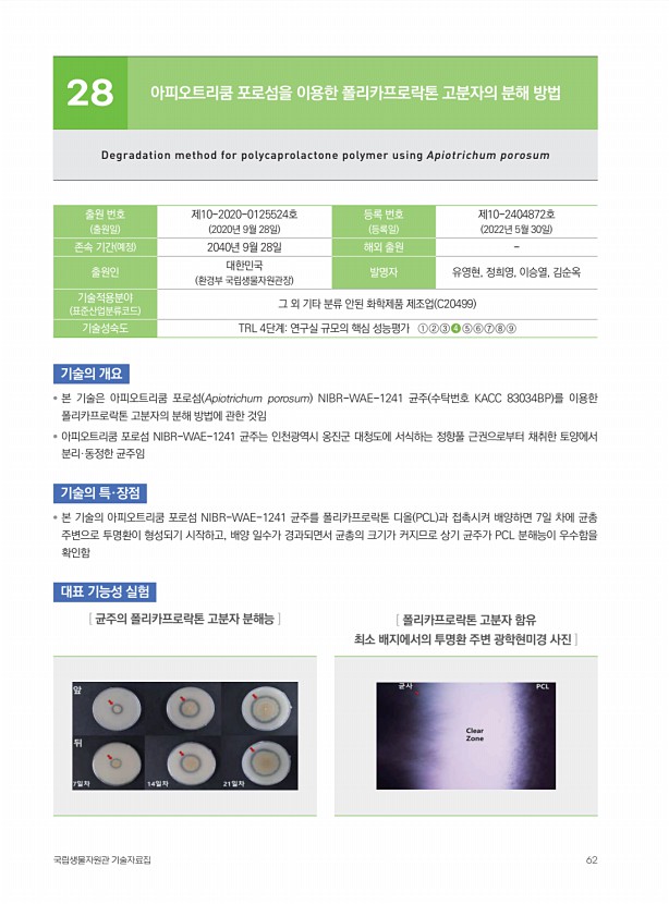 56페이지