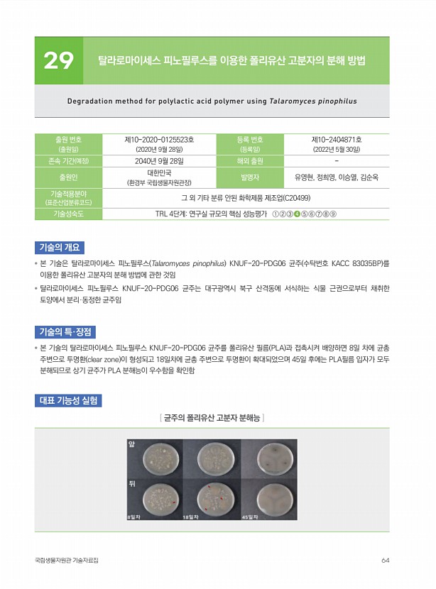 58페이지