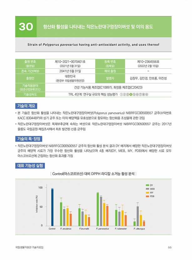 60페이지