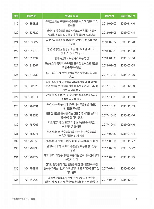 100페이지