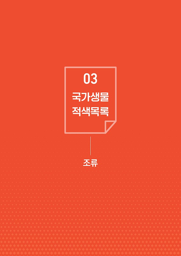 35페이지