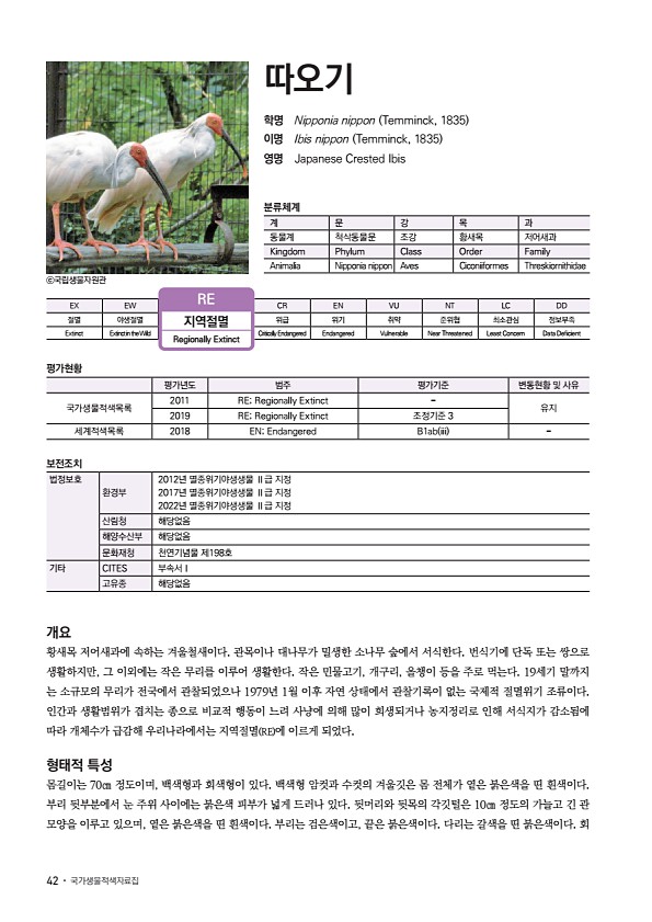36페이지