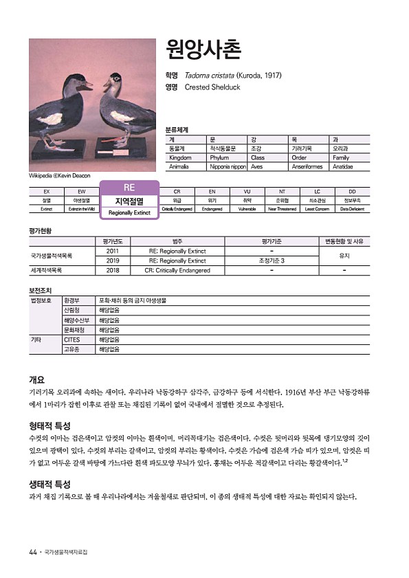 36페이지
