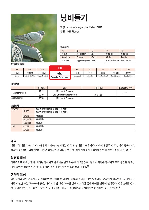 40페이지