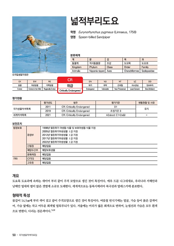 42페이지