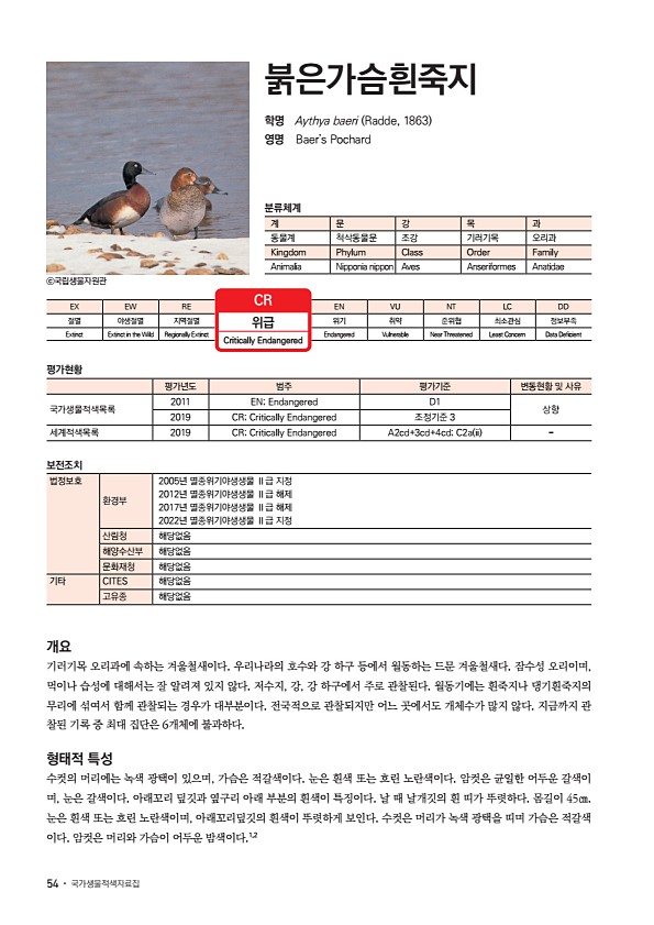 46페이지