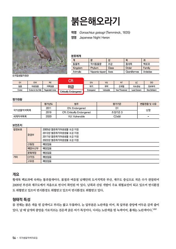 48페이지