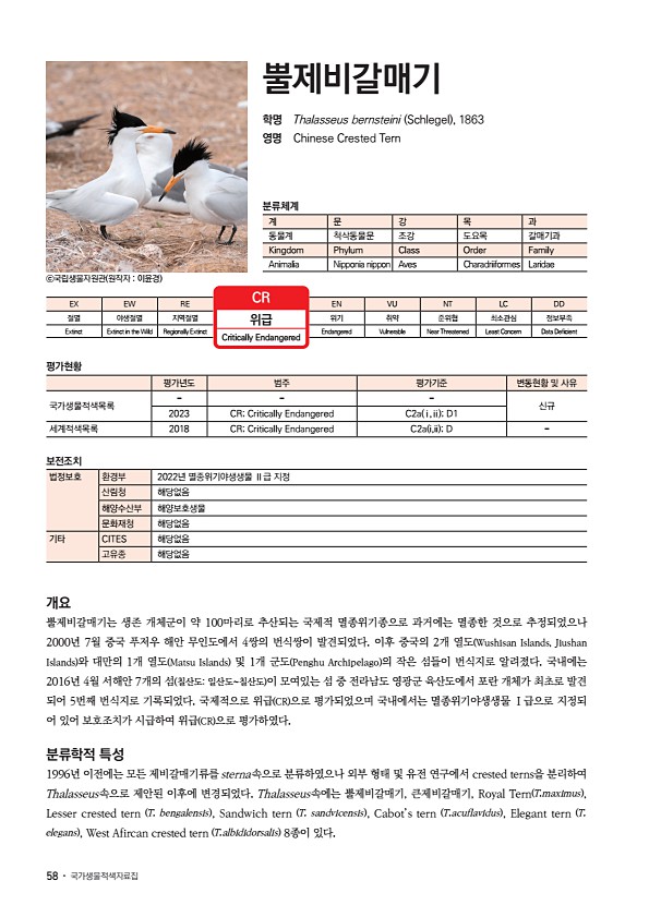 50페이지