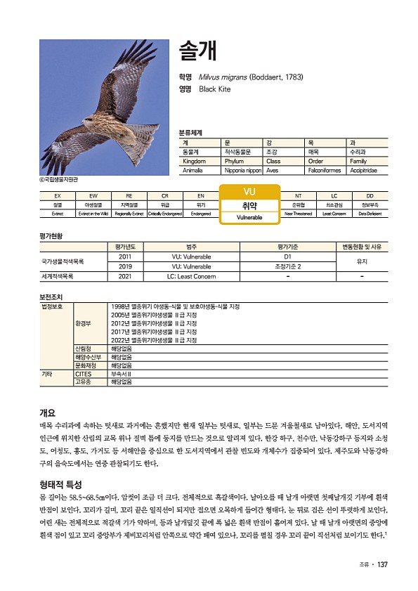 131페이지