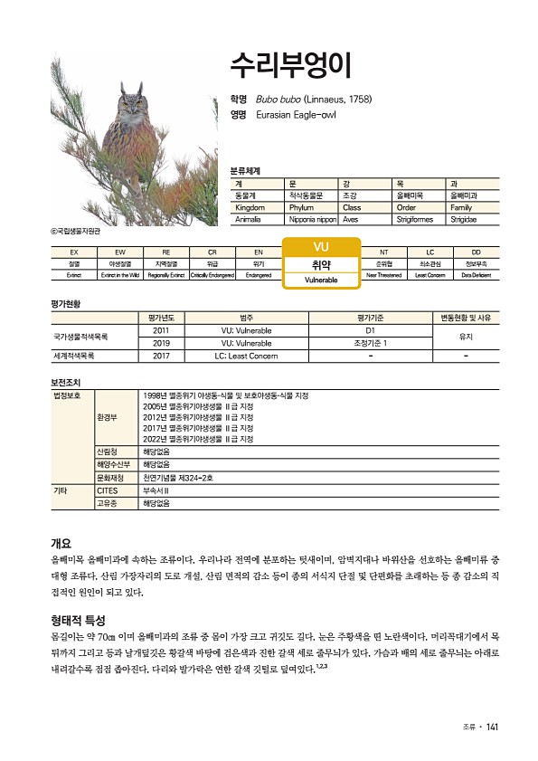 135페이지