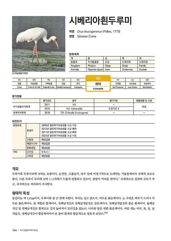 138페이지