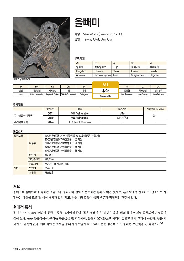 142페이지