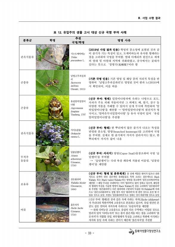 33페이지
