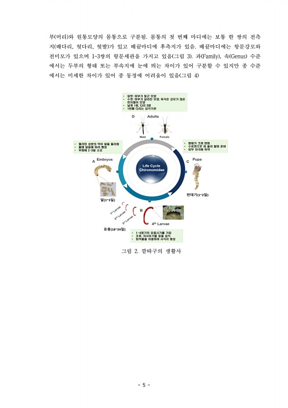 5페이지