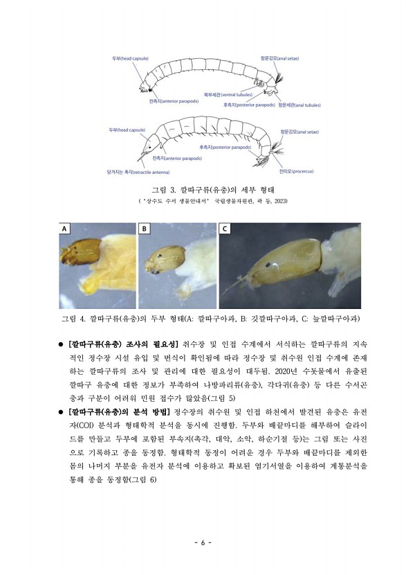 6페이지