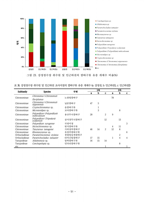 51페이지