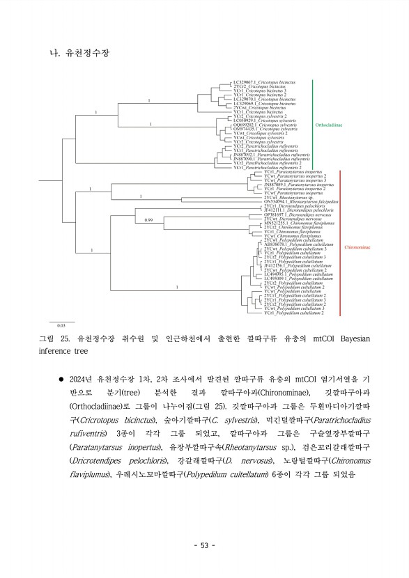 53페이지